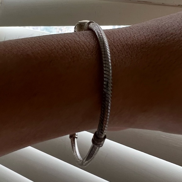 Pandora Silver Charm Bracelet - Picture 2 of 3